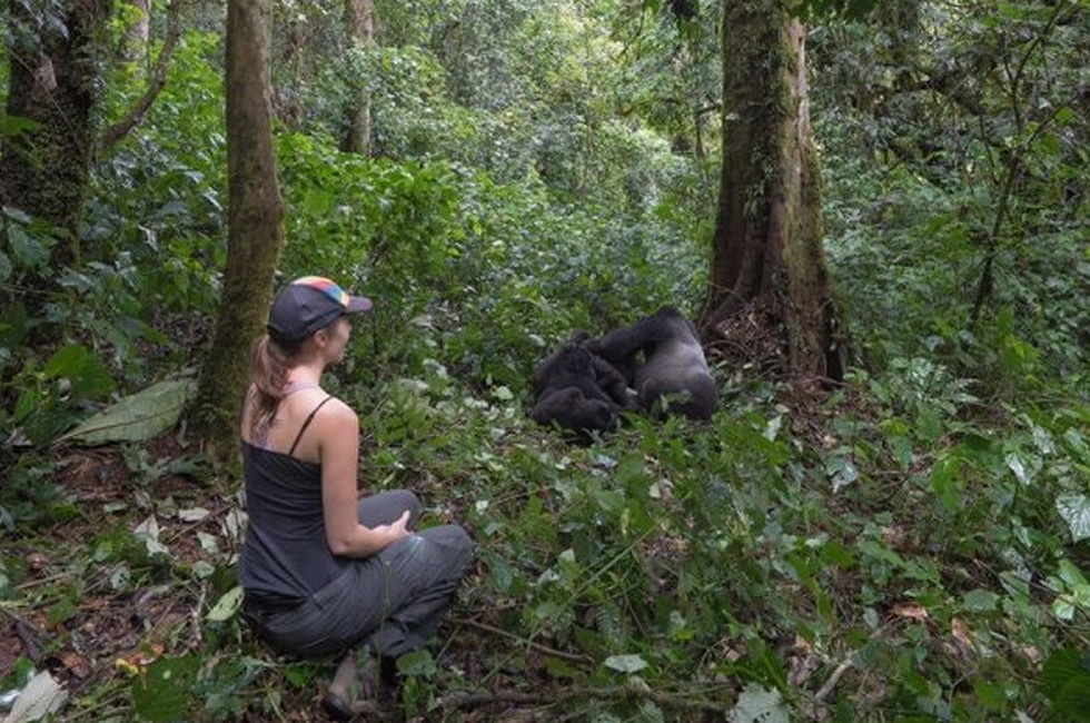 Top 10 Places for Gorilla Trekking in Africa Gorilla Trekking